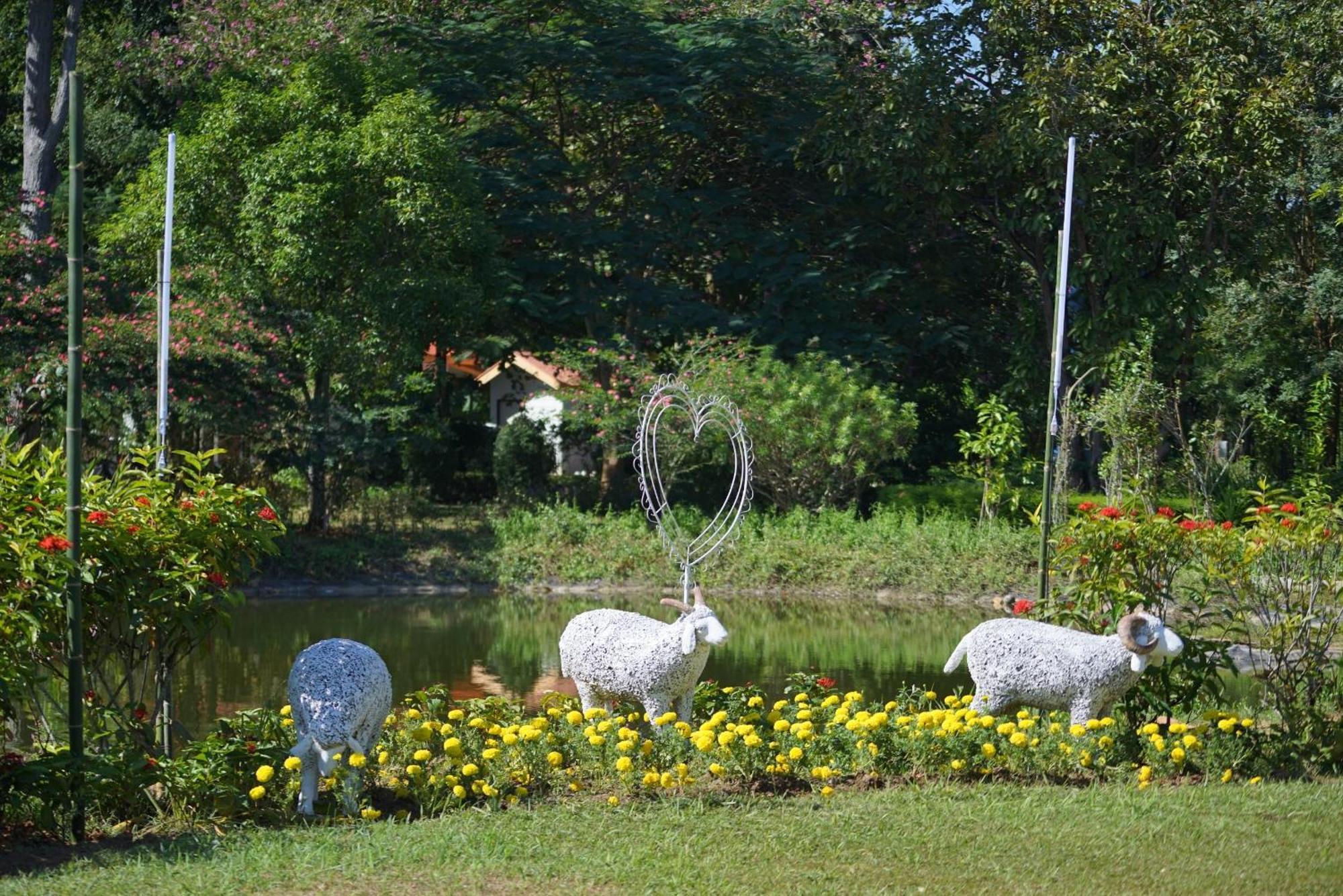 Baan Pingkan Wellness Resort San Kamphaeng Екстер'єр фото